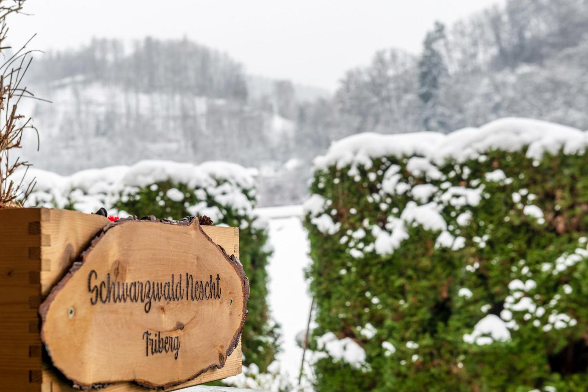トリベルクSchwarzwald Nescht Tribergアパートメント エクステリア 写真