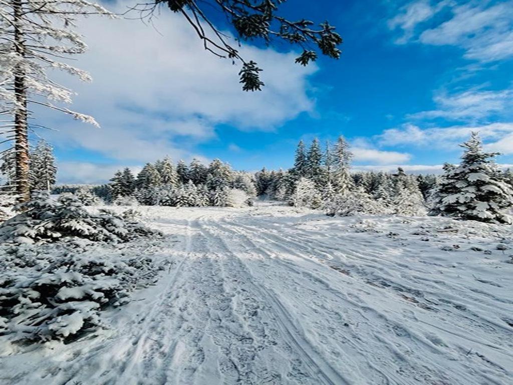 トリベルクSchwarzwald Nescht Tribergアパートメント エクステリア 写真