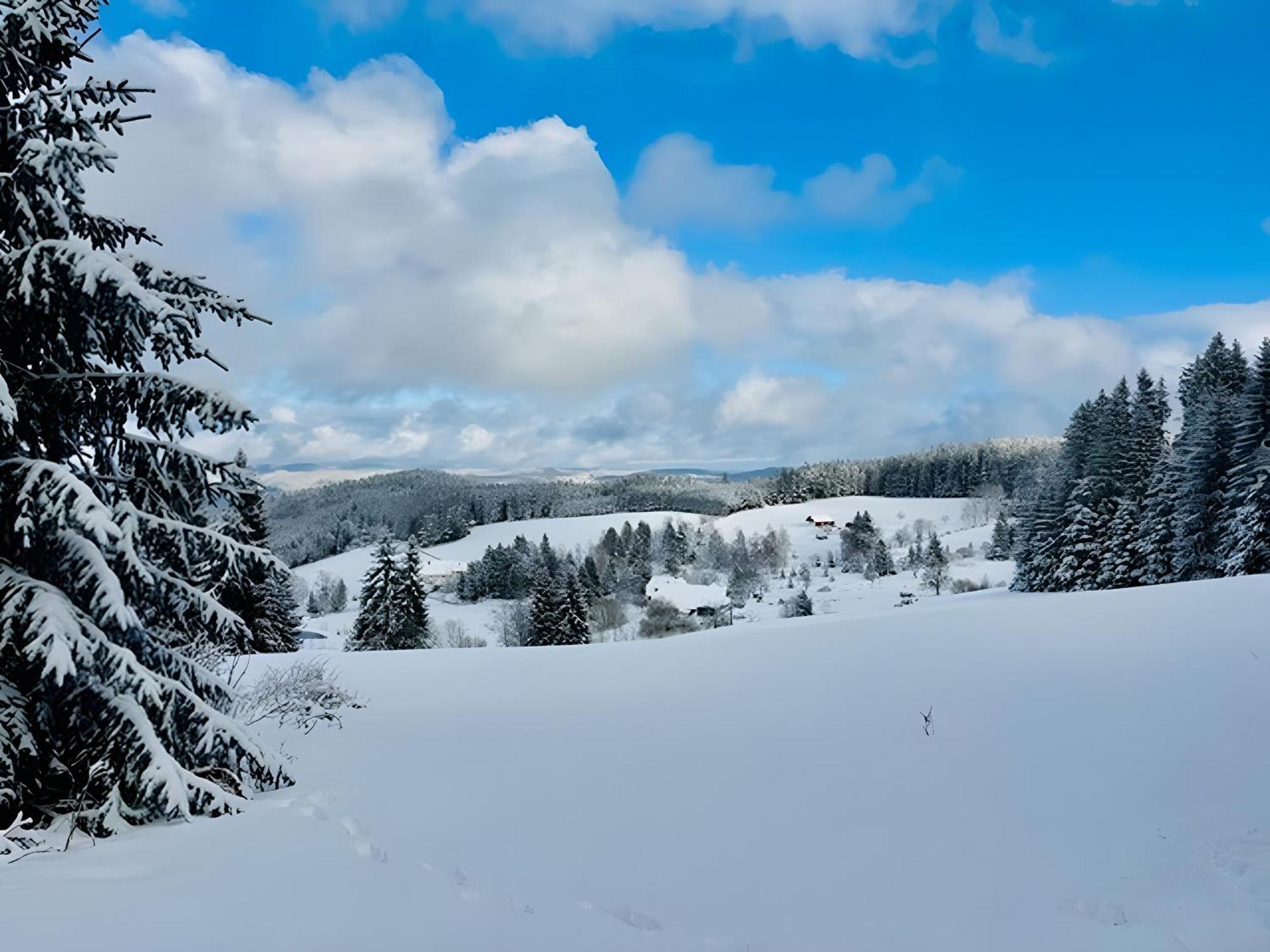 トリベルクSchwarzwald Nescht Tribergアパートメント エクステリア 写真