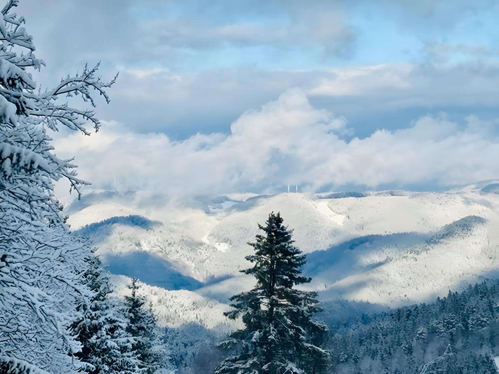 トリベルクSchwarzwald Nescht Tribergアパートメント エクステリア 写真